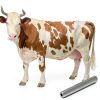 3 Pcs Cow Magnet Cylinder Cow Alnico Magnet Stud Finder 0.50" Diameter, 3" Length, Silver-5