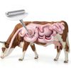 3 Pcs Cow Magnet Cylinder Cow Alnico Magnet Stud Finder 0.50" Diameter, 3" Length, Silver-2