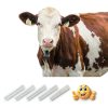 AlNiCo5 Cow Magnets 1/2" x 3" - 5 Pack, Silver Heavy Duty Cylinder-3