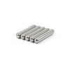 AlNiCo5 Cow Magnets 1/2" x 3" - 5 Pack, Silver Heavy Duty Cylinder-0